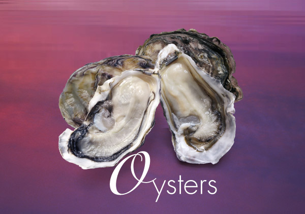 Sea Products Oysters