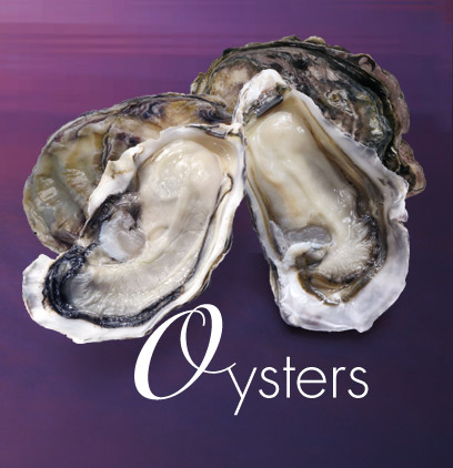 Sea Products Oysters